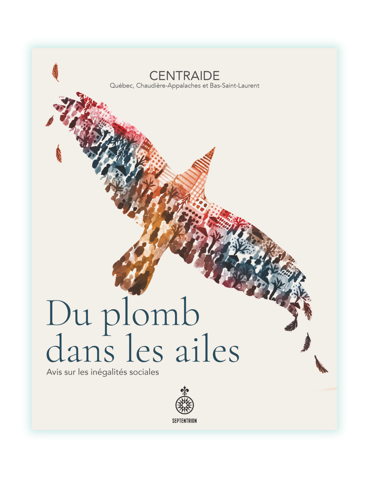 Couverture du livre Du plomb dans les ailes de Centraide